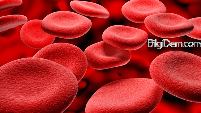 Hemoglobin Nedir? Demir İçeren Hemoglobini Arttıran Meyveler