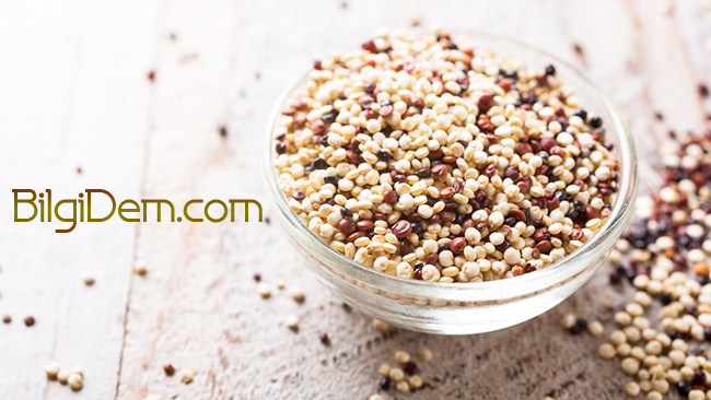 Quinoa: Protein Kaynağı Kinoa Nedir Ve Nasıl Kullanılır?