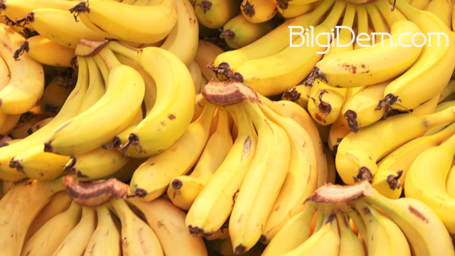 Bananas – Muzun Faydaları Nelerdir?