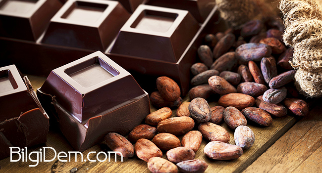 Çikolata Sağlıklı Mı? Çikolatanın Sağlığa Faydaları Neler ?
