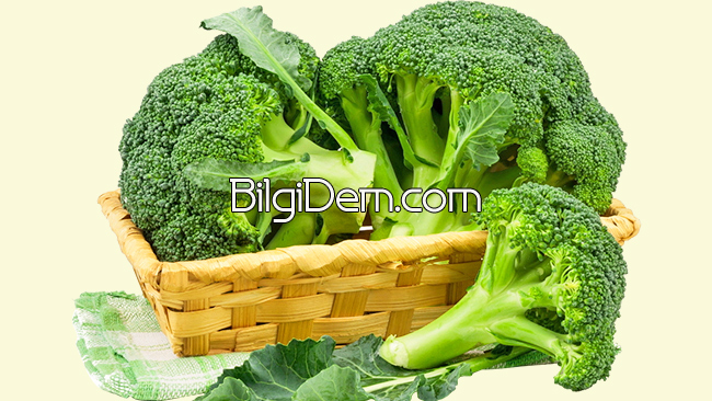 Brokoli Hakkında Bilgiler: Nasıl Alınır-Saklanır? Nasıl Yenir?